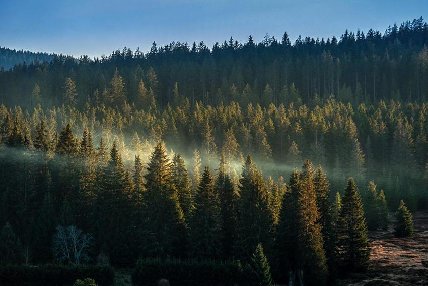 Horská Kvilda - Ubytování U Chvalů Exterior foto