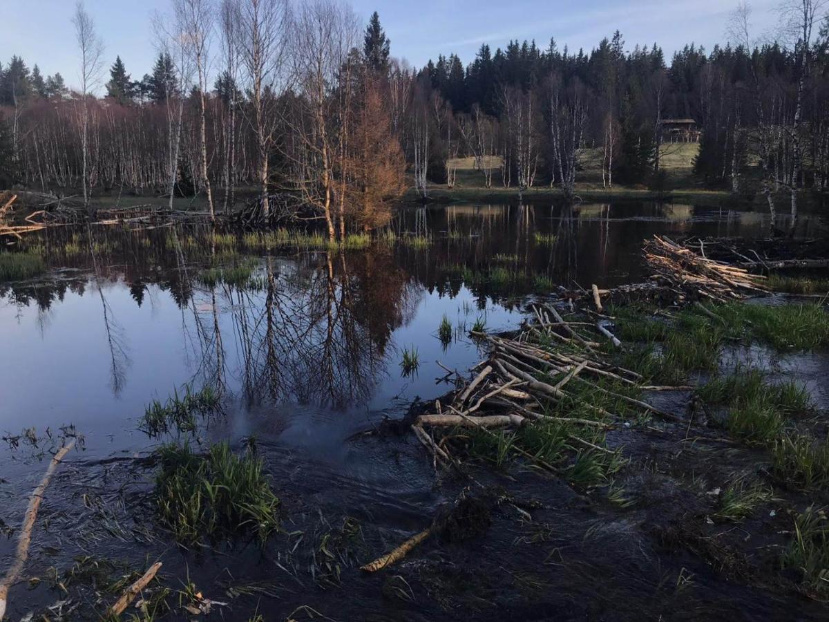 Horská Kvilda - Ubytování U Chvalů Exterior foto