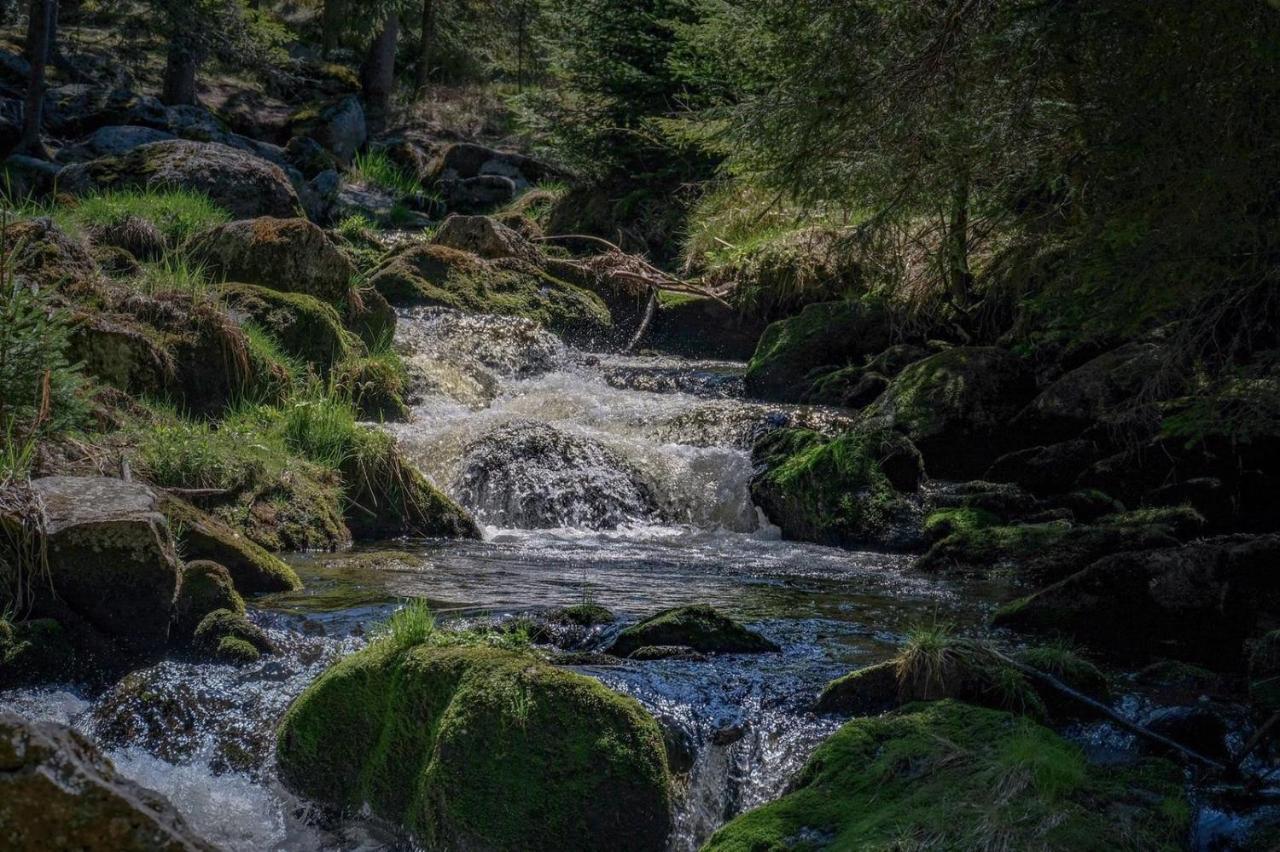 Horská Kvilda - Ubytování U Chvalů Exterior foto