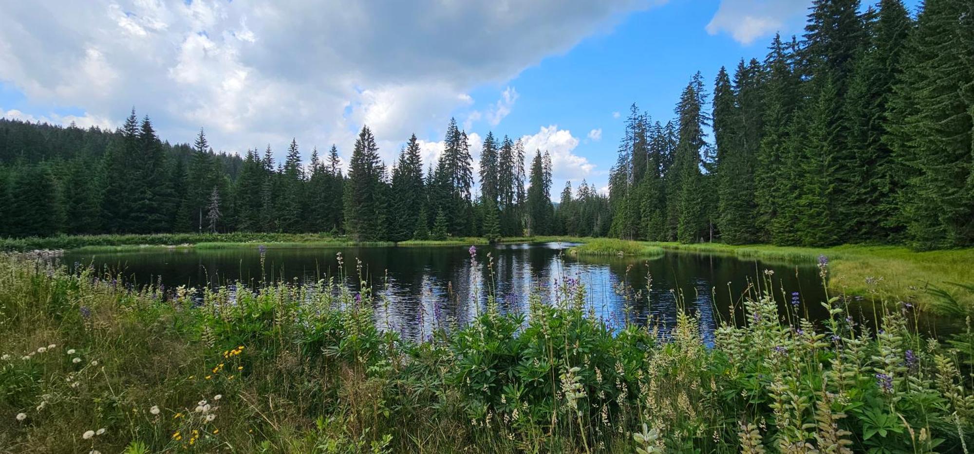 Horská Kvilda - Ubytování U Chvalů Exterior foto