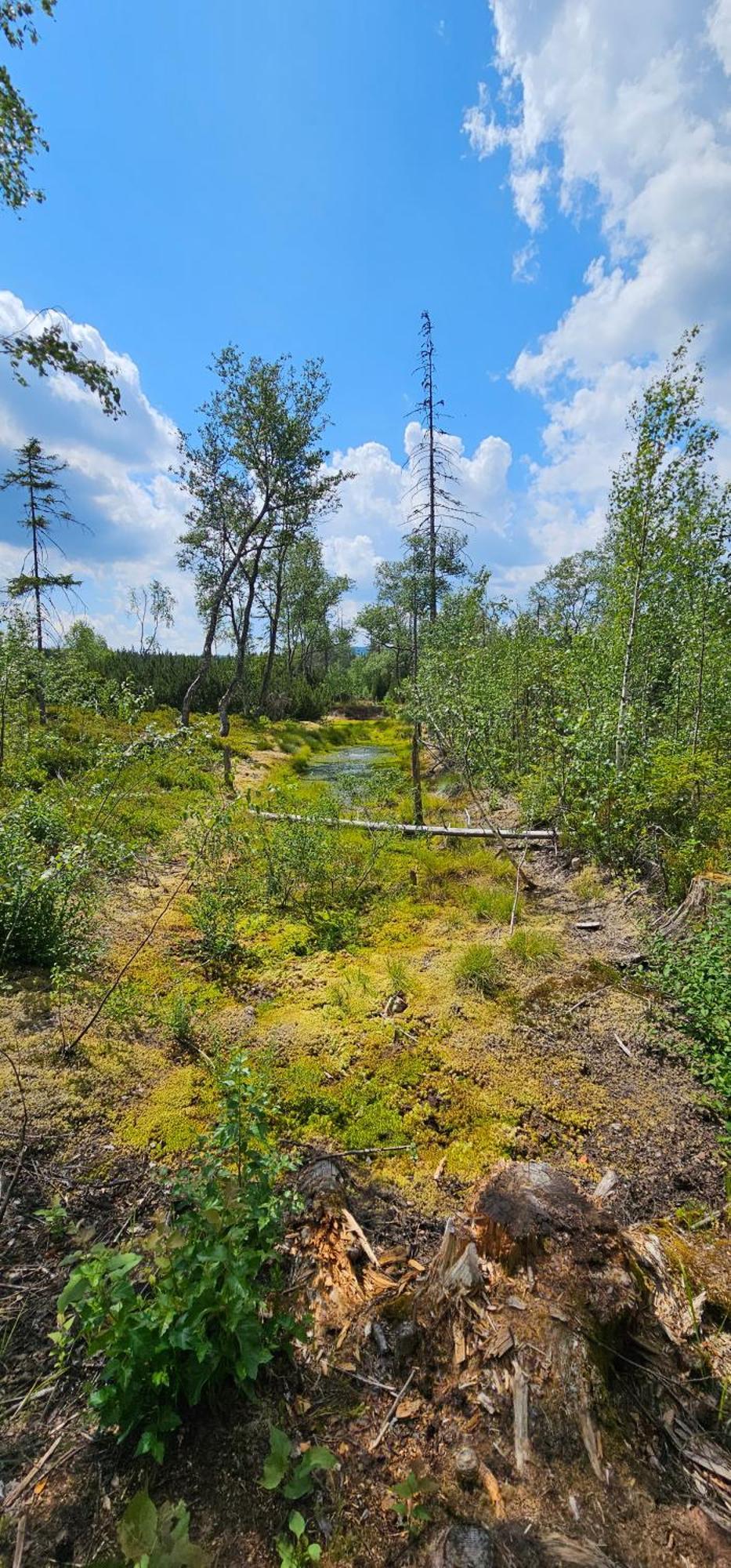 Horská Kvilda - Ubytování U Chvalů Exterior foto