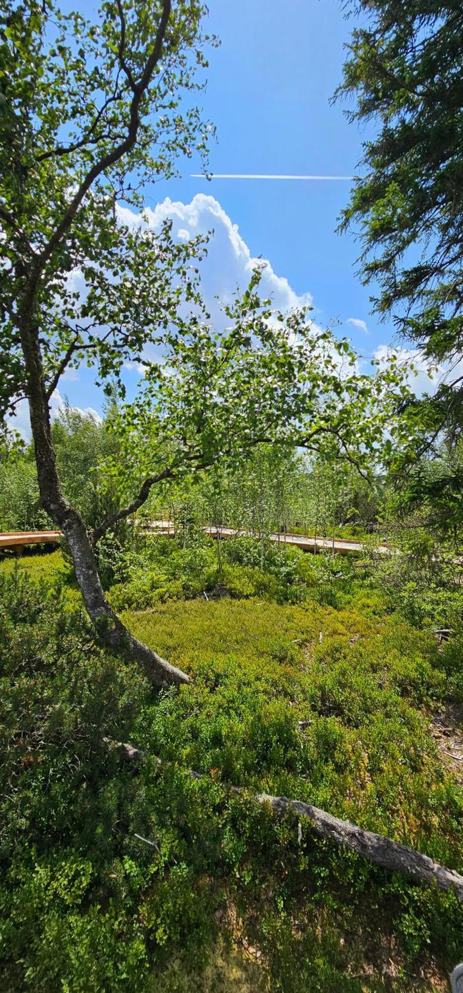 Horská Kvilda - Ubytování U Chvalů Exterior foto